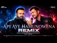 Api Aye Hamunowena Sanka Dineth x Aditya Narayana Remix