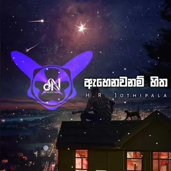 Ahenawanam Hitha Hadana Tharam (Remix) cover