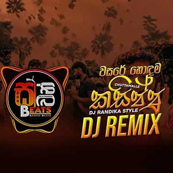 Chuun Guliya (Chuttamalle Parody Version) DJ REMIX cover