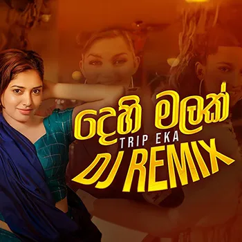Dehi Malak (Trip Eka) Mashup DJ REMIX cover