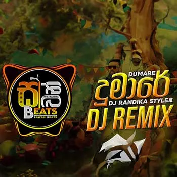 Dumare (DJ Remix) cover
