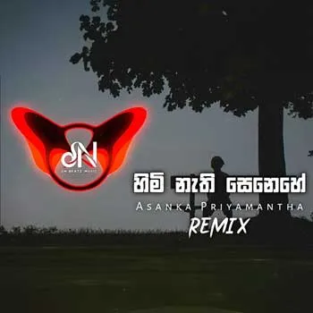 Himi Nathi Senehe (Remix) cover