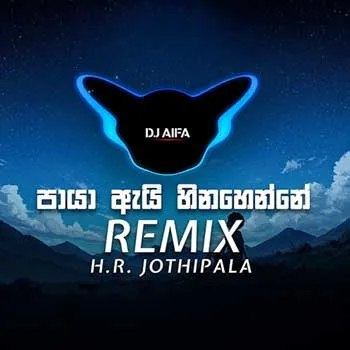 Paya Ai Hinahenne (Remix) cover