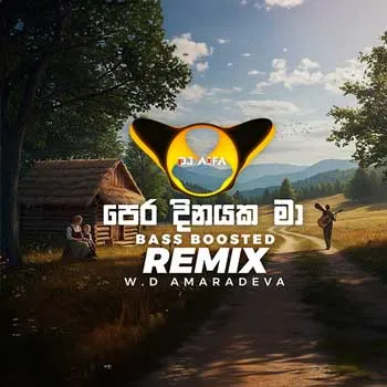 Pera Dinayaka Ma (Remix) cover