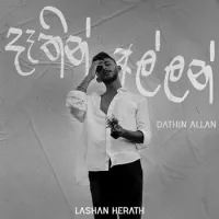 Dathin Allan Chords