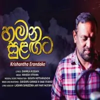 Hamana Sulangata by Krishantha Erandaka – Sinhala song cover