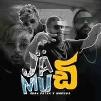Jadi Mudi