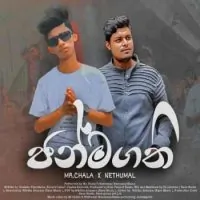 Janmagathi (Rap) by Mr Chala Ft Nethumal Weerawardhana – Sinhala song cover