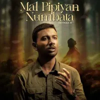 Mal Pipiyan Numbata