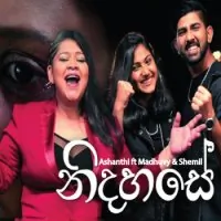 Nidahase