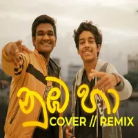 Numba ha (Cover)