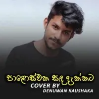 Paloswaka Sanda Dakkata (Cover Song) by Denuwan Kaushaka – Sinhala song cover