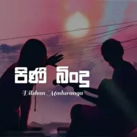 Pini Bindu
