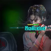 Piyamanne Reggae Slowed Mix by Chali Beats – Sinhala song cover