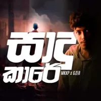 Saadu Kaaree