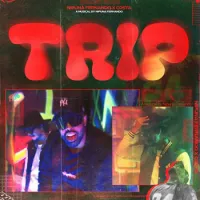 Trip