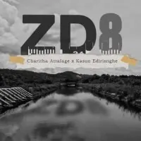 ZD8