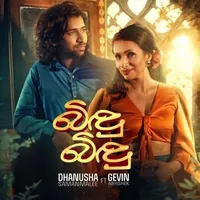 Bindu Bindu