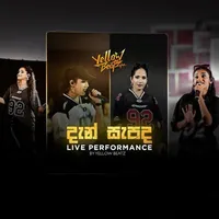 dan sapada (Live) by Yellow Beatz – Sinhala song cover
