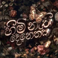 Himi Nathi Denethaka by Sarith and Surith – Sinhala song cover