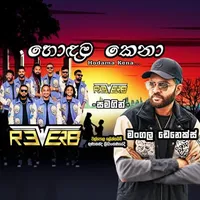 Hodama Kena (Live with Reverb) by Mangala Denex – Sinhala song cover