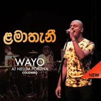 Lamathani (Wayo Live) by Sangeeth Wijesuriya – Sinhala song cover