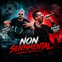 Non Sentimental