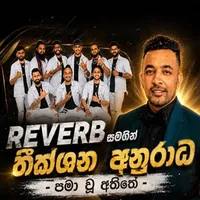 Pamawu Atheethe (Live with Reverb) by Theekshana Anuradha – Sinhala song cover