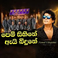 Pem Sihine (Live with Purple Range)