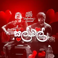 Sal Mal Wel (Cover)
