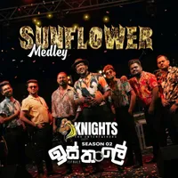 Sunflower Medley