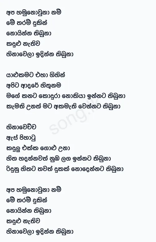 Apa Hamunowuna Nam - Shehan Kaushalya Lyrics