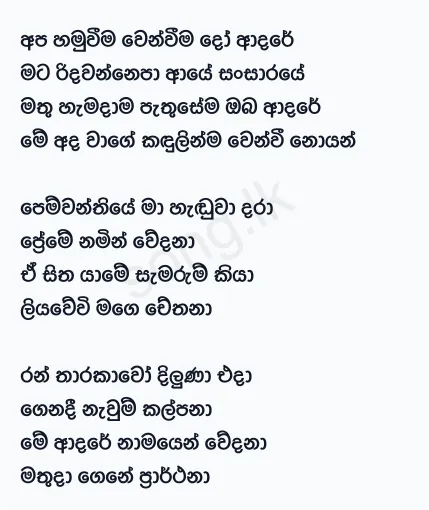 Apa Hamuweema Wenweema Do Adare - Namal Udugama Lyrics