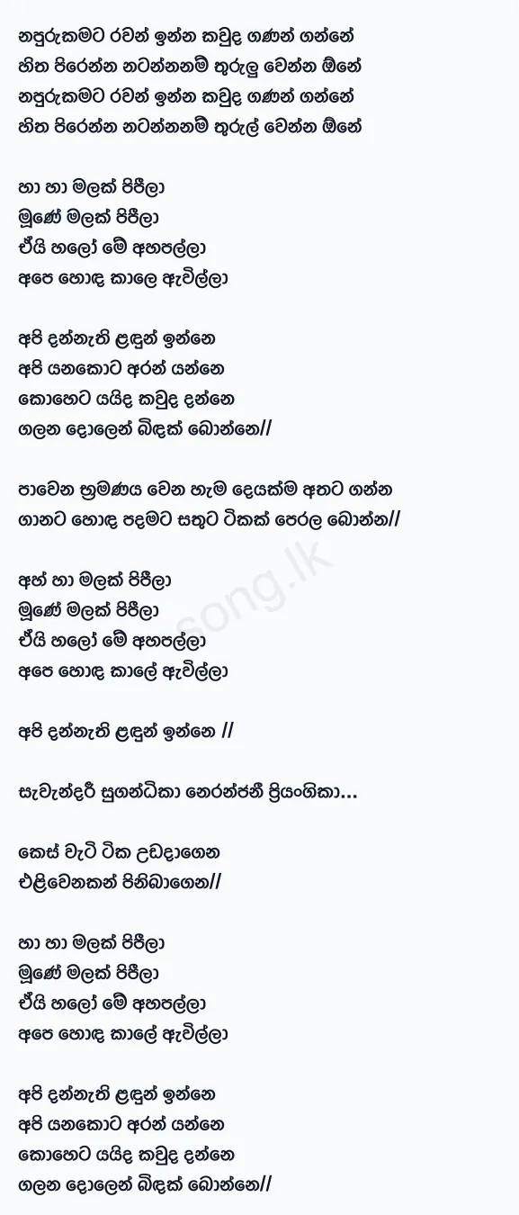 Api Dannathi Landun Inne - Nalin Perera Lyrics