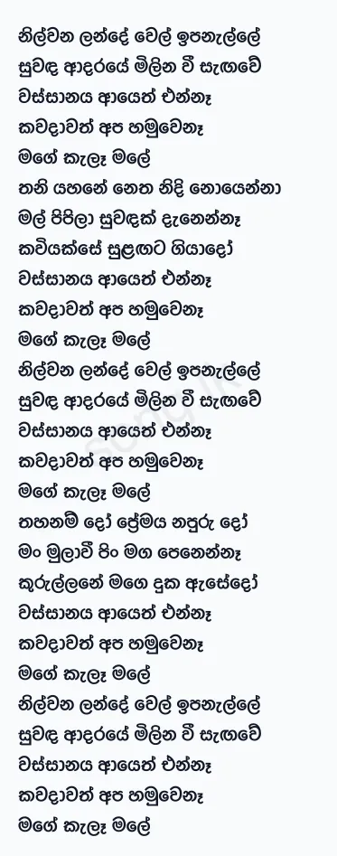 Nil Wana Lande - Chandana Liyanarachchi Lyrics