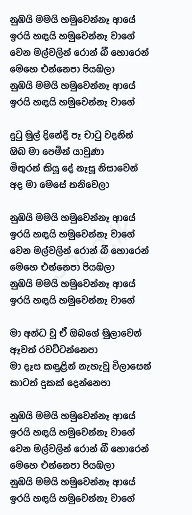 Numbai Mamai - Windy Goonatillake Lyrics