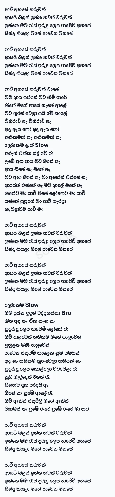 Paavi - Nipuna Fernando Ft Tikx Kooda Lyrics