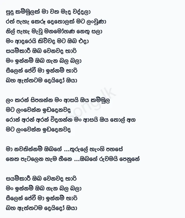 Sayamkari - Ruwan Hettiarachchi Lyrics