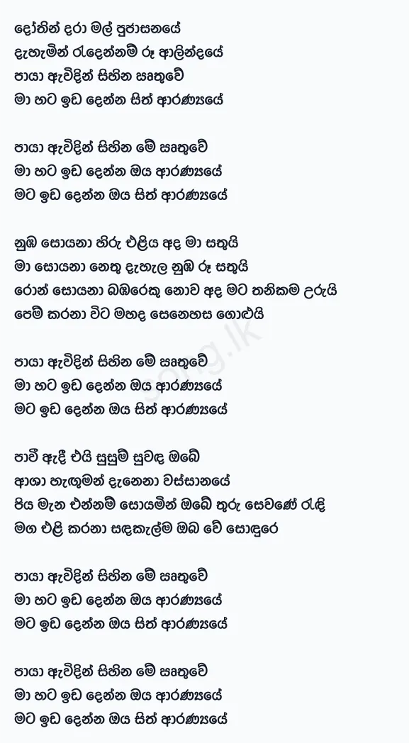 Sith Aranyaye - Bachi Susan Lyrics
