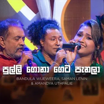 Pulli Gona Geta Panala (Sanuhare) cover